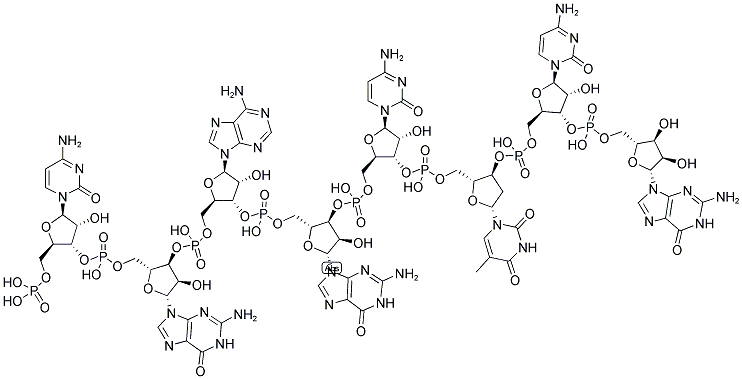 CGAGCTCG, 5'-PHOSPHORYLATED 结构式