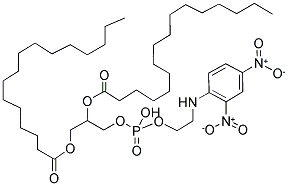 1,2-DIPALMITOYL-SN-GLYCERO-3-PHOSPHOETHANOLAMINE-N-(2,4-DINITROPHENYL) 结构式