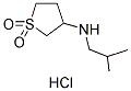 N-(1,1-DIOXIDOTETRAHYDROTHIEN-3-YL)-N-ISOBUTYLAMINE HYDROCHLORIDE 结构式