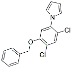 1-[5-(BENZYLOXY)-2,4-DICHLOROPHENYL]-1H-PYRROLE 结构式