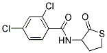 2,4-DICHLORO-N-(2-OXOTETRAHYDRO-3-THIOPHENYL)BENZENECARBOXAMIDE 结构式