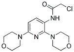 N1-(2,6-DIMORPHOLINO-3-PYRIDYL)-2-CHLOROACETAMIDE 结构式