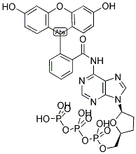 FLUORESCEIN-N6-DDATP 结构式