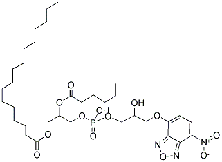 1-PALMITOYL-2-[6-[(7-NITRO-2-1,3-BENZOXADIAZOL-4-YL)AMINO]CAPROYL]-SN-GLYCERO-3-[PHOSPHO-RAC-(1-GLYCEROL)] (SODIUM SALT) 结构式