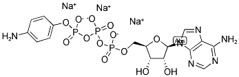 ADENOSINE-5'-[GAMMA-(4-AMINOPHENYL)]TRIPHOSPHATE, SODIUM SALT 结构式