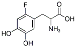 6-FLUORO-D,L-DOPA 结构式