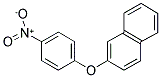 2-(4-NITROPHENOXY)NAPHTHALENE 结构式