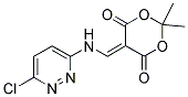 5-([(6-CHLOROPYRIDAZIN-3-YL)AMINO]METHYLIDENE)-2,2-DIMETHYL-1,3-DIOXANE-4,6-DIONE 结构式