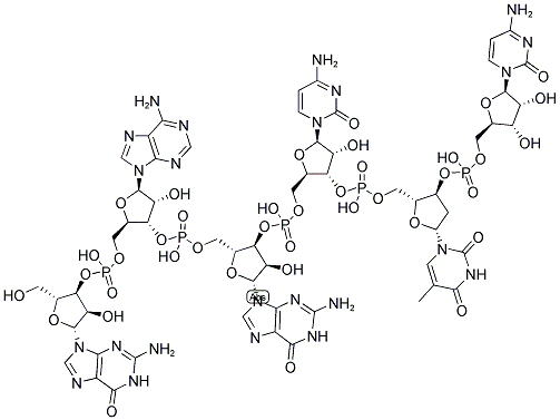 GAGCTC, 5'-NON-PHOSPHORYLATED 结构式