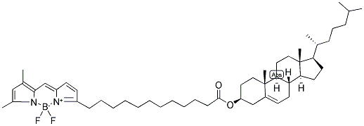 CHOLESTERYL 4,4-DIFLUORO-5,7-DIMETHYL-4-BORA-3A,4A-DIAZA-S-INDACENE-3-DODECANOATE 结构式