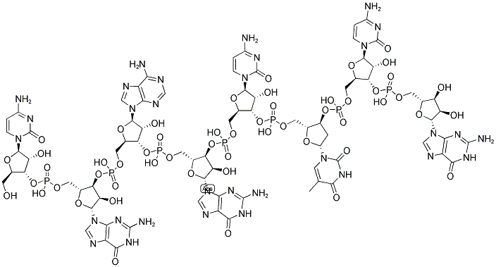 CGAGCTCG, 5'-NON-PHOSPHORYLATED 结构式
