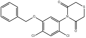 4-[5-(BENZYLOXY)-2,4-DICHLOROPHENYL]-3,5-THIOMORPHOLINEDIONE 结构式