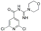 N4-IMINO(MORPHOLINO)METHYL-2,6-DICHLOROISONICOTINAMIDE 结构式