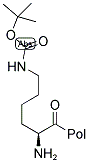 聚合物键合型 NΩ-BOC-L-赖氨酸 2-氯三苯甲酯 结构式
