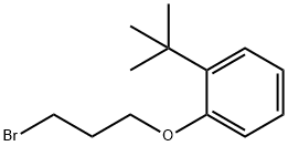 1-(3-溴丙氧基)-2-叔丁基苯 结构式