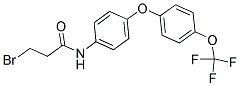 N1-(4-[4-(TRIFLUOROMETHOXY)PHENOXY]PHENYL)-3-BROMOPROPANAMIDE 结构式