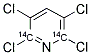 2,3,5,6-TETRACHLOROPYRIDINE, [2,6-14C] 结构式
