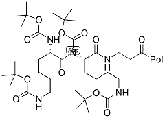 [BOC-LYS(BOC)]2-LYS-BETAALA-PAM RESIN 结构式