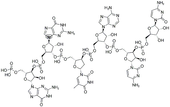 GGTACC, 5'-PHOSPHORYLATED 结构式