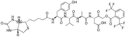 BIOTIN-TYR-VAL-ALA-ASP-FLUOROACYLOXYMETHYLKETONE: BIOTIN-YVAD-FLUOROACYLOXYMETHYLKETONE 结构式