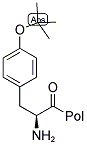 H-TYR(TBU)-2-CHLOROTRITYL RESIN 结构式
