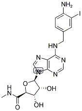 1-[6-[[(4-AMINO-3-IODOPHENYL)METHYL]AMINO]-9H-PURIN-9-YL]-1-DEOXY-N-METHYL-BETA-D-RIBOFURANURONAMIDE 结构式