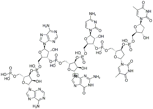 AAGCTT, 5'-PHOSPHORYLATED 结构式