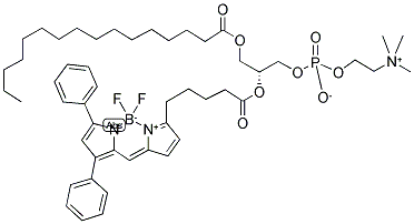 2-(4,4-Difluoro-5,7-diphenyl-4-bora-3a,4a-diaza-s-indacene-3-pentanoyl)-1-hexadecanoyl-sn-glycero-3-phosphocholine 结构式