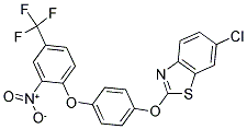 6-CHLORO2-(4-[4-(TRIFLUOROMETHYL)-2-NITROPHENOXY]-PHENOXY)-BENZO[D]THIAZOLE 结构式