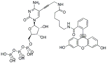 FLUORESCEIN-12-CTP 结构式