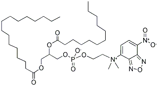 1-PALMITOYL-2-[12-[(7-NITRO-2-1,3-BENZOXADIAZOL-4-YL)AMINO]DODECANOYL]-SN-GLYCERO-3-PHOSPHOCHOLINE 结构式