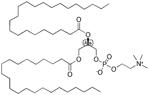 1,2-DITRICOSANOYL-SN-GLYCERO-3-PHOSPHOCHOLINE 结构式