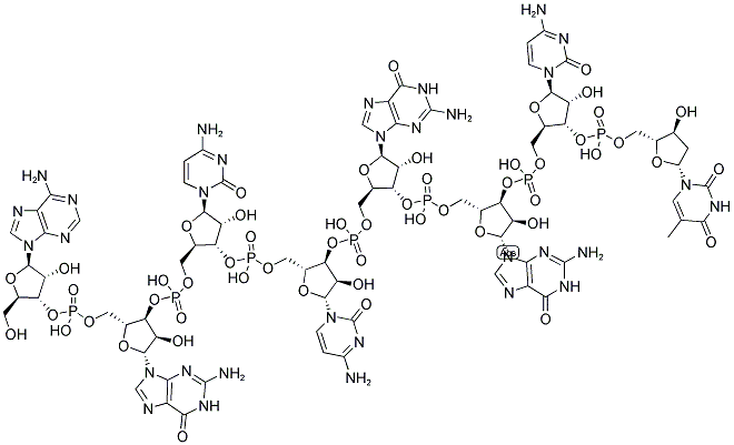 AGCCGGCT, 5'-NON-PHOSPHORYLATED 结构式
