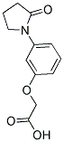 [3-(2-OXOPYRROLIDIN-1-YL)PHENOXY]ACETIC ACID 结构式