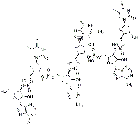 ATCGAT, 5'-NON-PHOSPHORYLATED 结构式