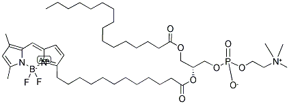 2-(4,4-DIFLUORO-5,7-DIMETHYL-4-BORA-3A,4A-DIAZA-S-INDACENE-3-DODECANOYL)-1-HEXADECANOYL-SN-GLYCERO-3-PHOSPHOCHOLINE 结构式