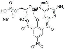 2'-(OR-3')-O-(TRINITROPHENYL)ADENOSINE 5'-MONOPHOSPHATE, SODIUM SALT 结构式
