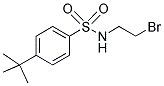 N1-(2-BROMOETHYL)-4-(TERT-BUTYL)BENZENE-1-SULFONAMIDE 结构式