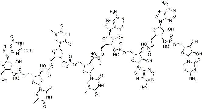 GTTTAAAC, 5'-NON-PHOSPHORYLATED 结构式