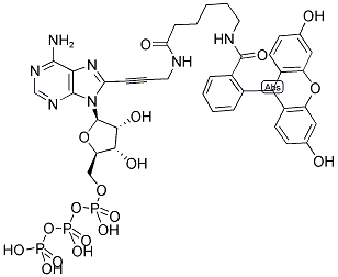 FLUORESCEIN-12-ATP 结构式