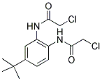 N1-(4-(TERT-BUTYL)-2-[(2-CHLOROACETYL)AMINO]PHENYL)-2-CHLOROACETAMIDE 结构式