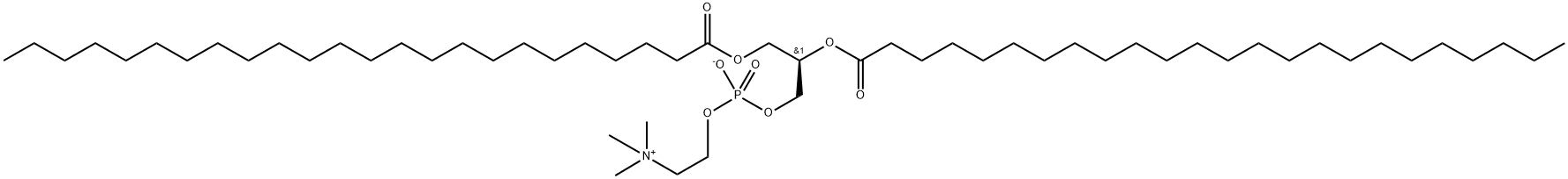 1,2-DILIGNOCEROYL-SN-GLYCERO-3-PHOSPHOCHOLINE;24:0 PC 结构式