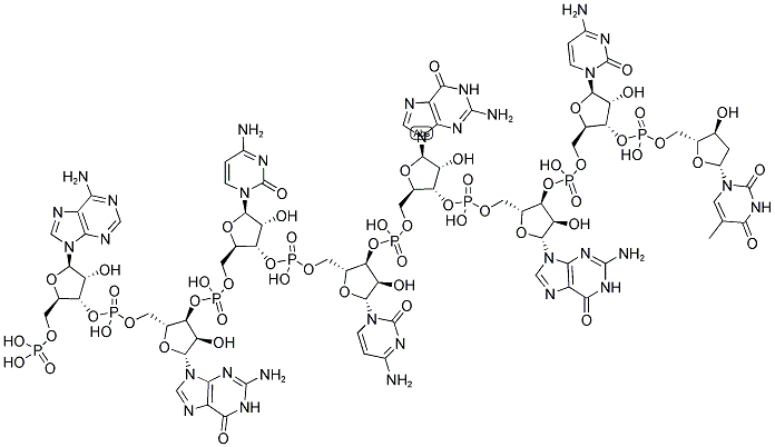 Agccggct, 5'-phosphorylated 结构式