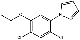 1-(2,4-DICHLORO-5-ISOPROPOXYPHENYL)-1H-PYRROLE 结构式