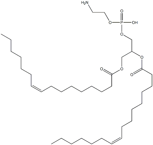1,2-DIPALMITOLEOYL-SN-GLYCERO-3-PHOSPHOETHANOLAMINE;16:1 PE 结构式