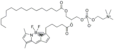 2-(4,4-DIFLUORO-5,7-DIMETHYL-4-BORA-3A,4A-DIAZA-S-INDACENE-3-PENTANOYL)-1-HEXADECANOYL-SN-GLYCERO-3-PHOSPHOCHOLINE 结构式