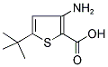3-AMINO-5-TERT-BUTYLTHIOPHENE-2-CARBOXYLIC ACID 结构式
