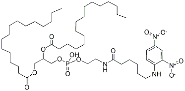 1,2-DIPALMITOYL-SN-GLYCERO-3-PHOSPHOETHANOLAMINE-N-[6-[(2,4-DINITROPHENYL)AMINO]CAPROYL] 结构式