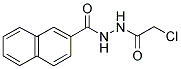 N'-(2-Chloroacetyl)-2-naphthohydrazide 结构式