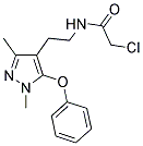 2-CHLORO-N-[2-(1,3-DIMETHYL-5-PHENOXY-1H-PYRAZOL-4-YL)ETHYL]ACETAMIDE 结构式